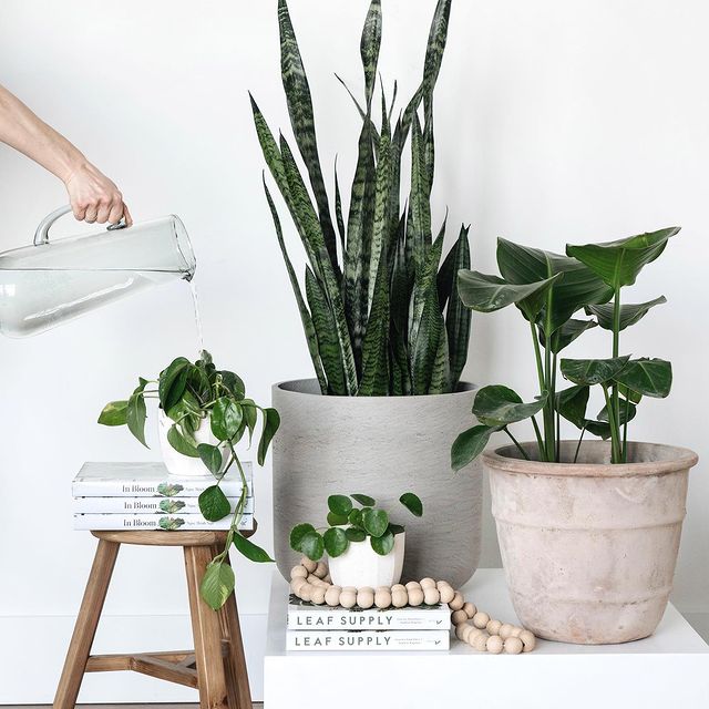 Interior design team working on web project