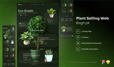 طراحی سایت گلدان خانگی و فضای باز